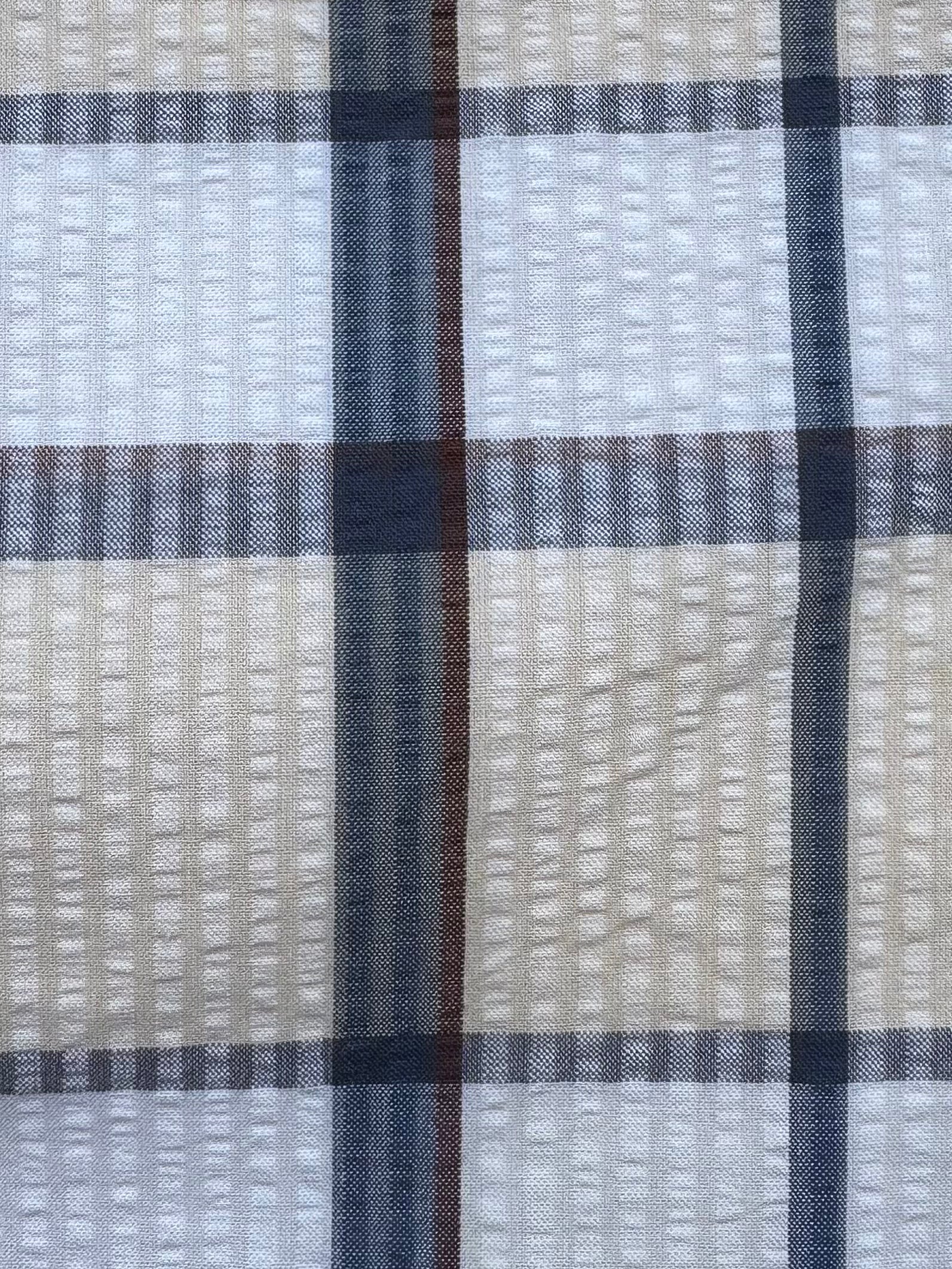 Check Bag - Cream/Blue